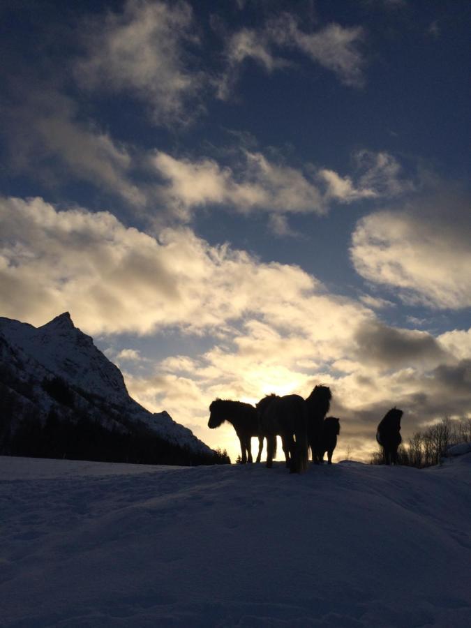 Flo Lofoten Nature Escape Valberg Exterior photo